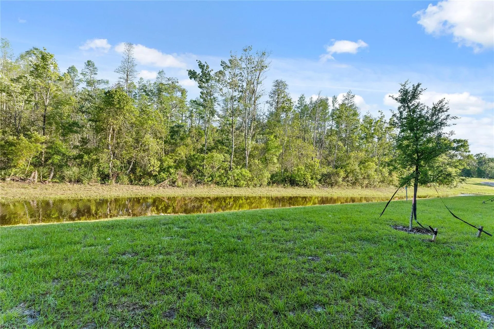 17712 Nectar Flume Drive Land O Lakes FL 34638