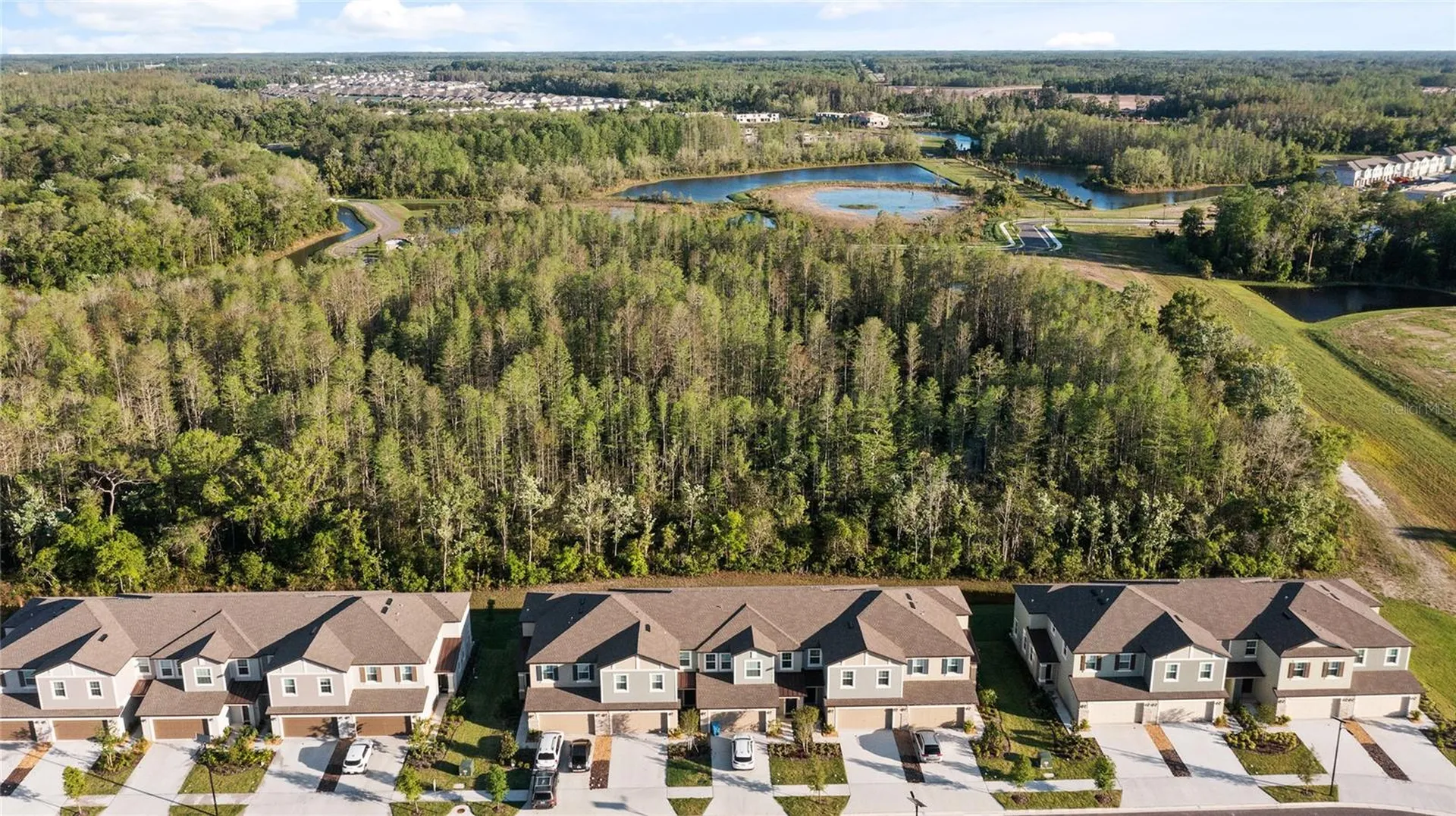 17712 Nectar Flume Drive Land O Lakes FL 34638