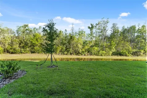 17712 Nectar Flume Drive Land O Lakes FL 34638
