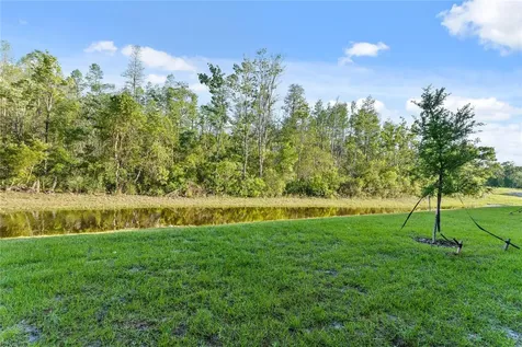 17712 Nectar Flume Drive Land O Lakes FL 34638