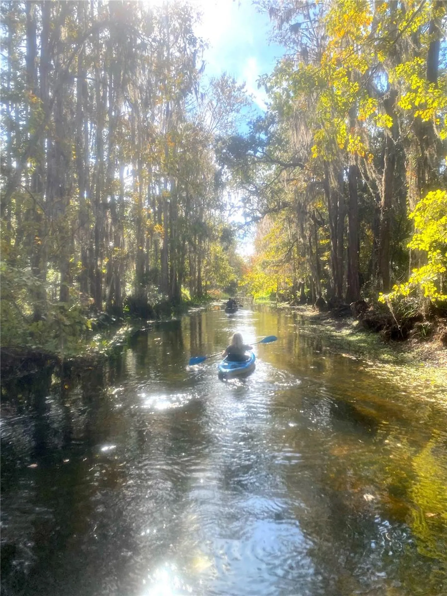 3016 Crystal Creek Boulevard Orlando FL 32837