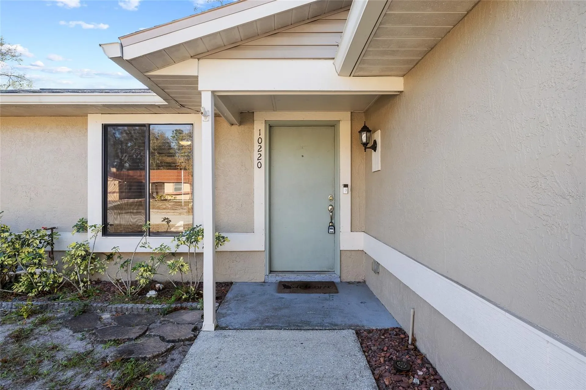 10220 Turkey Oak Drive New Port Richey FL 34654