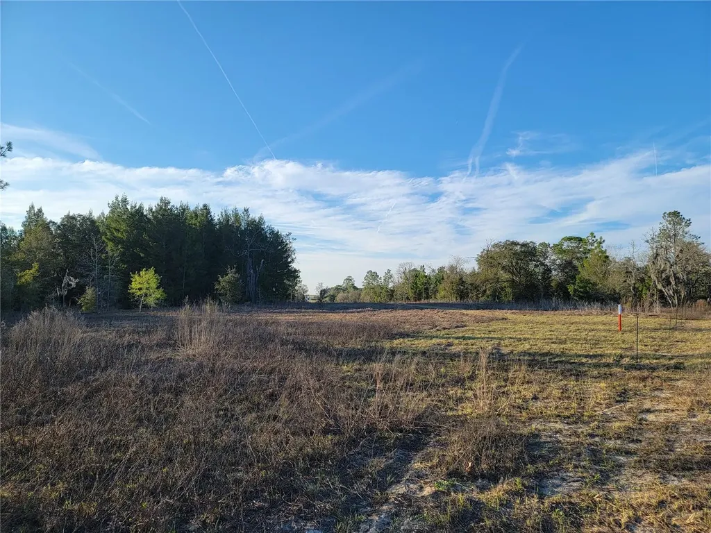 0 NE 20th Street Williston FL 32696