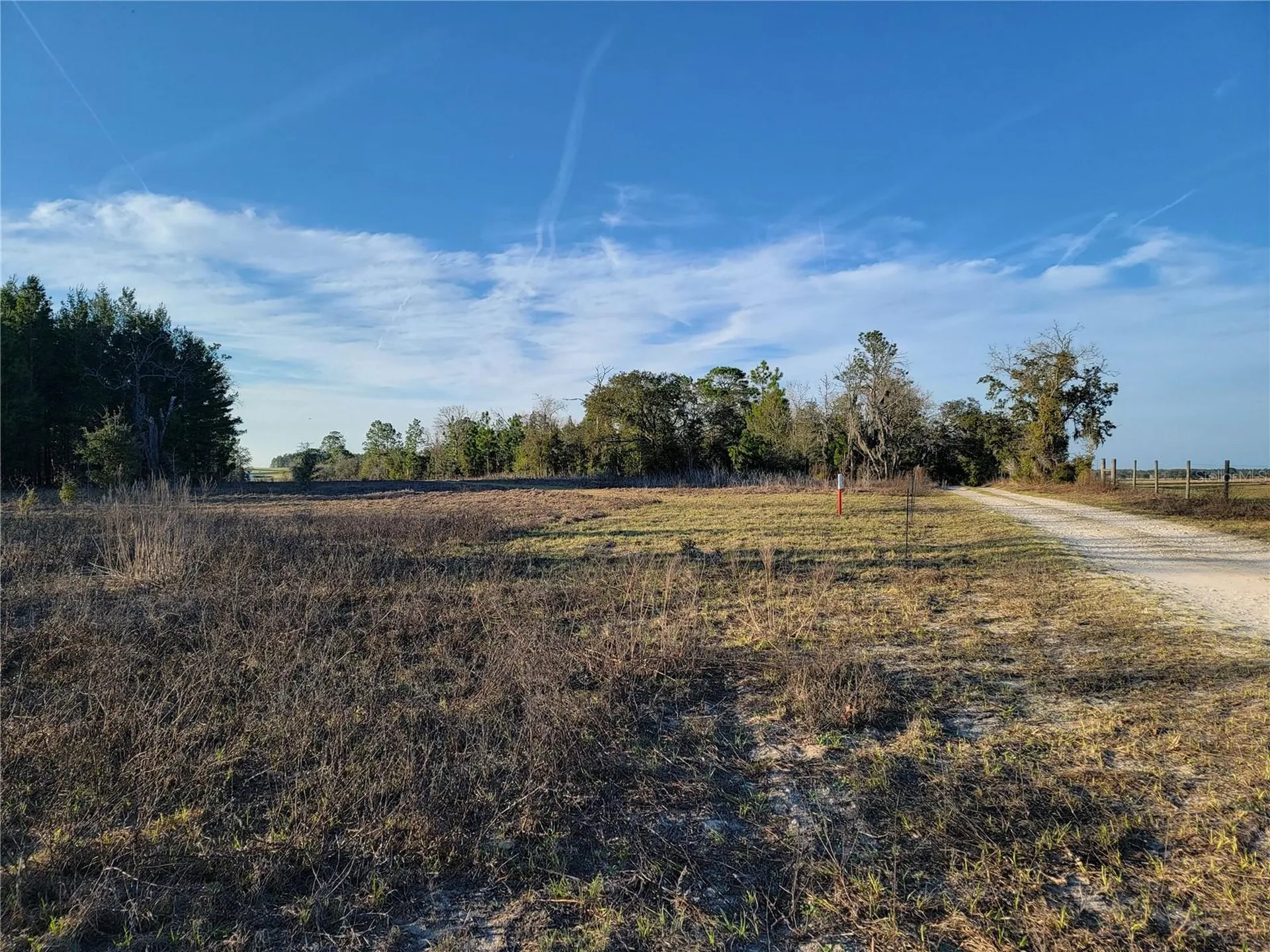 0 NE 20th Street Williston FL 32696