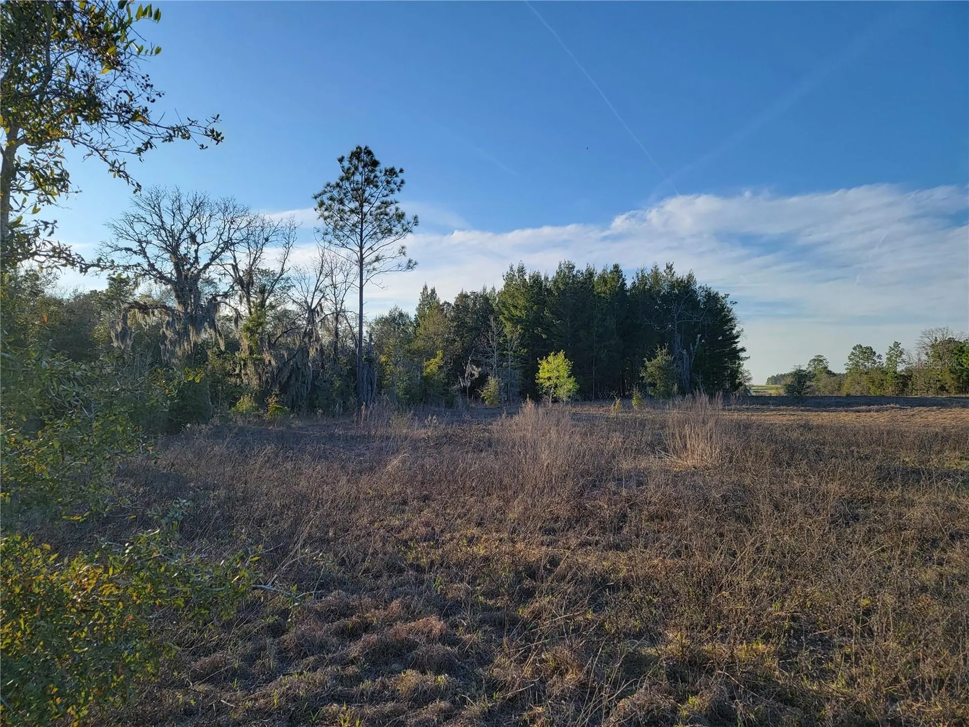 0 NE 20th Street Williston FL 32696