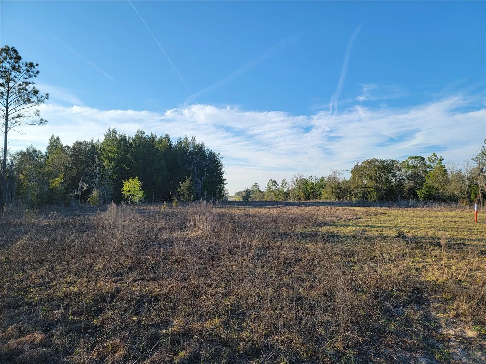 0 NE 20th Street Williston FL 32696