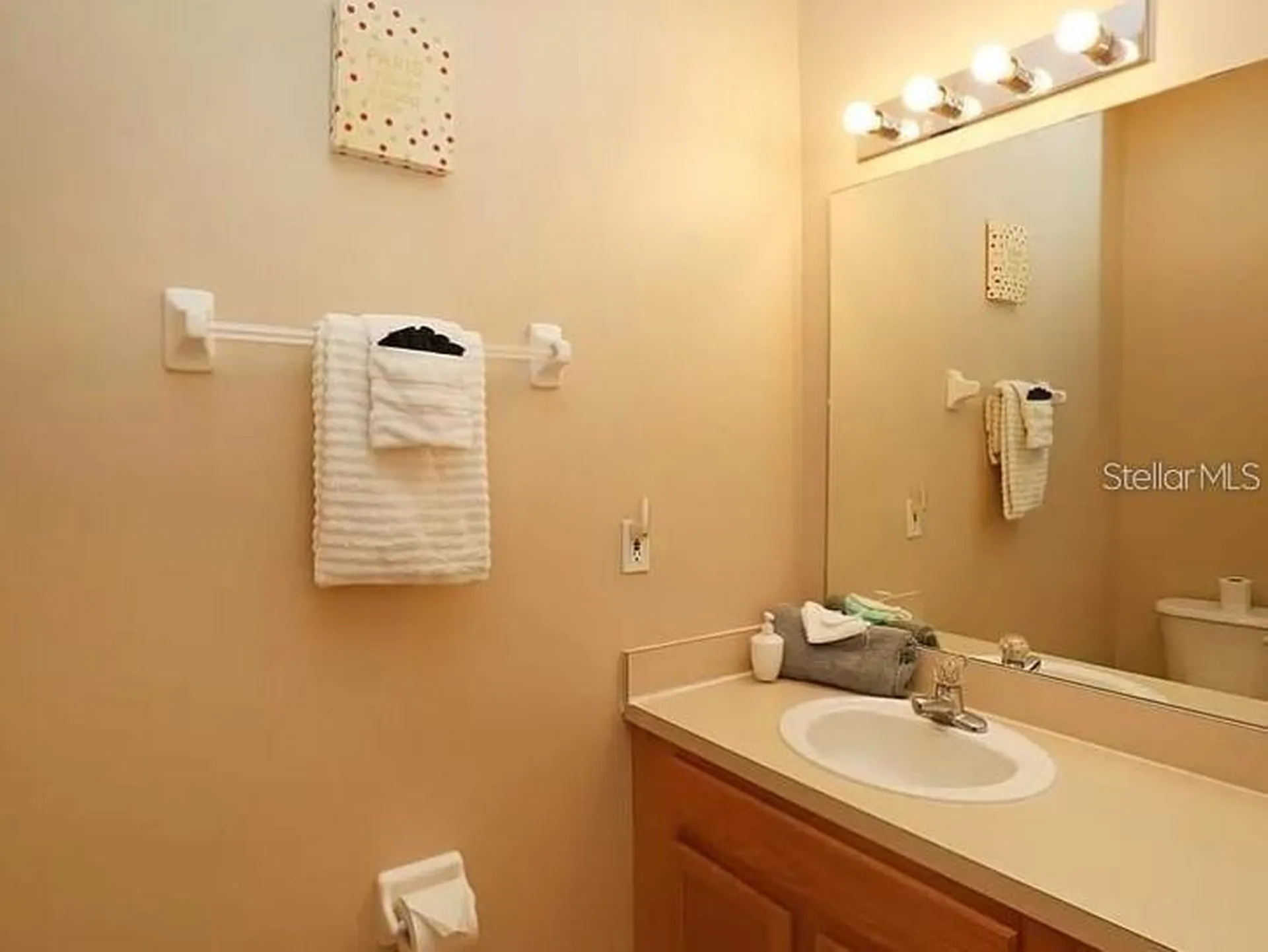 8550 Crystal Cove Loop Kissimmee FL 34747