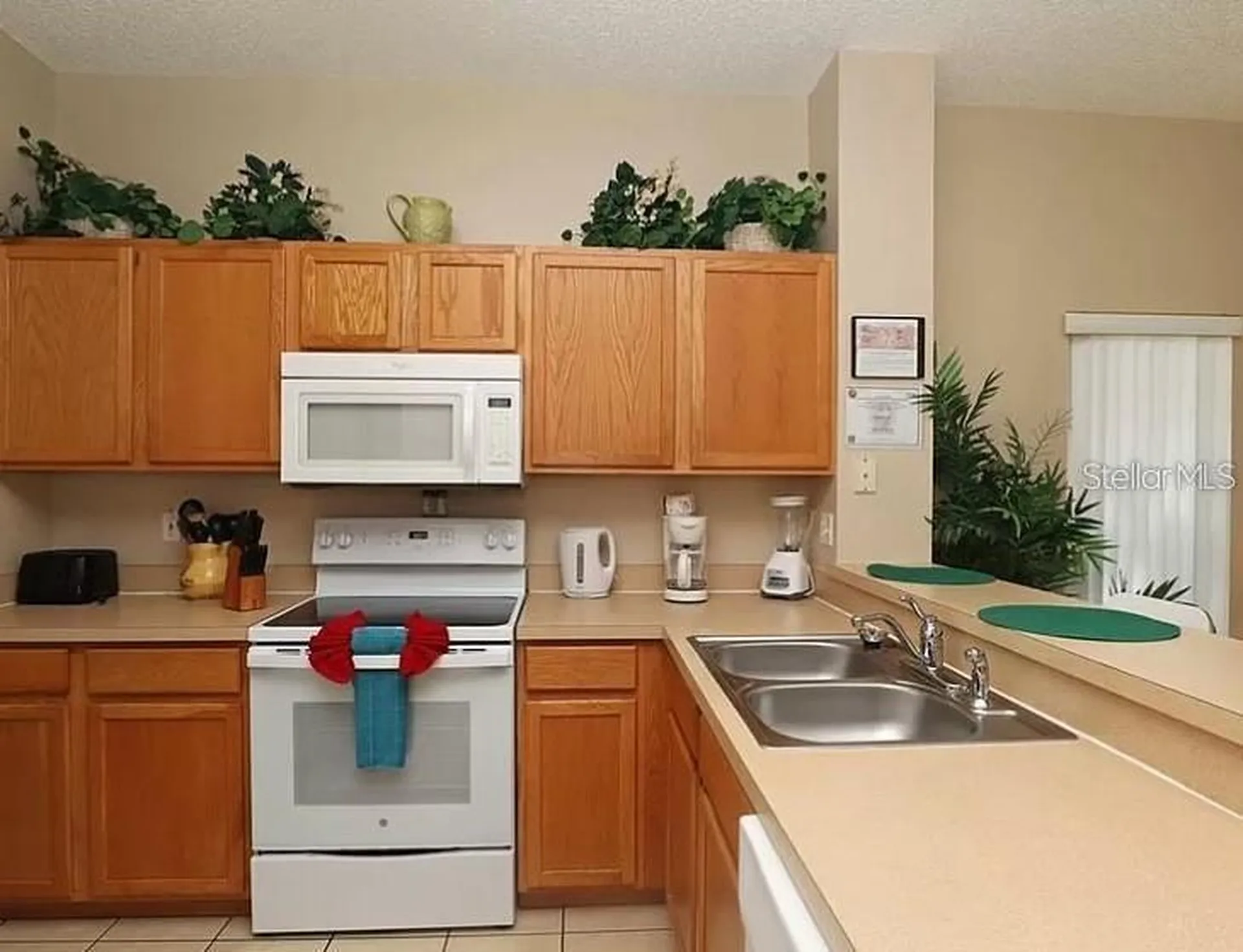 8550 Crystal Cove Loop Kissimmee FL 34747
