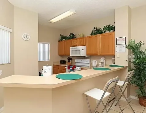 8550 Crystal Cove Loop Kissimmee FL 34747