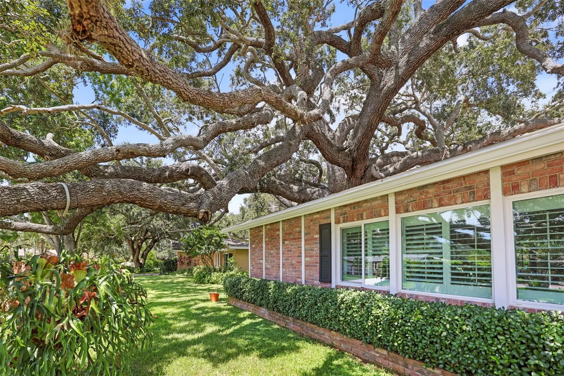 2353 Demaret Drive Dunedin FL 34698