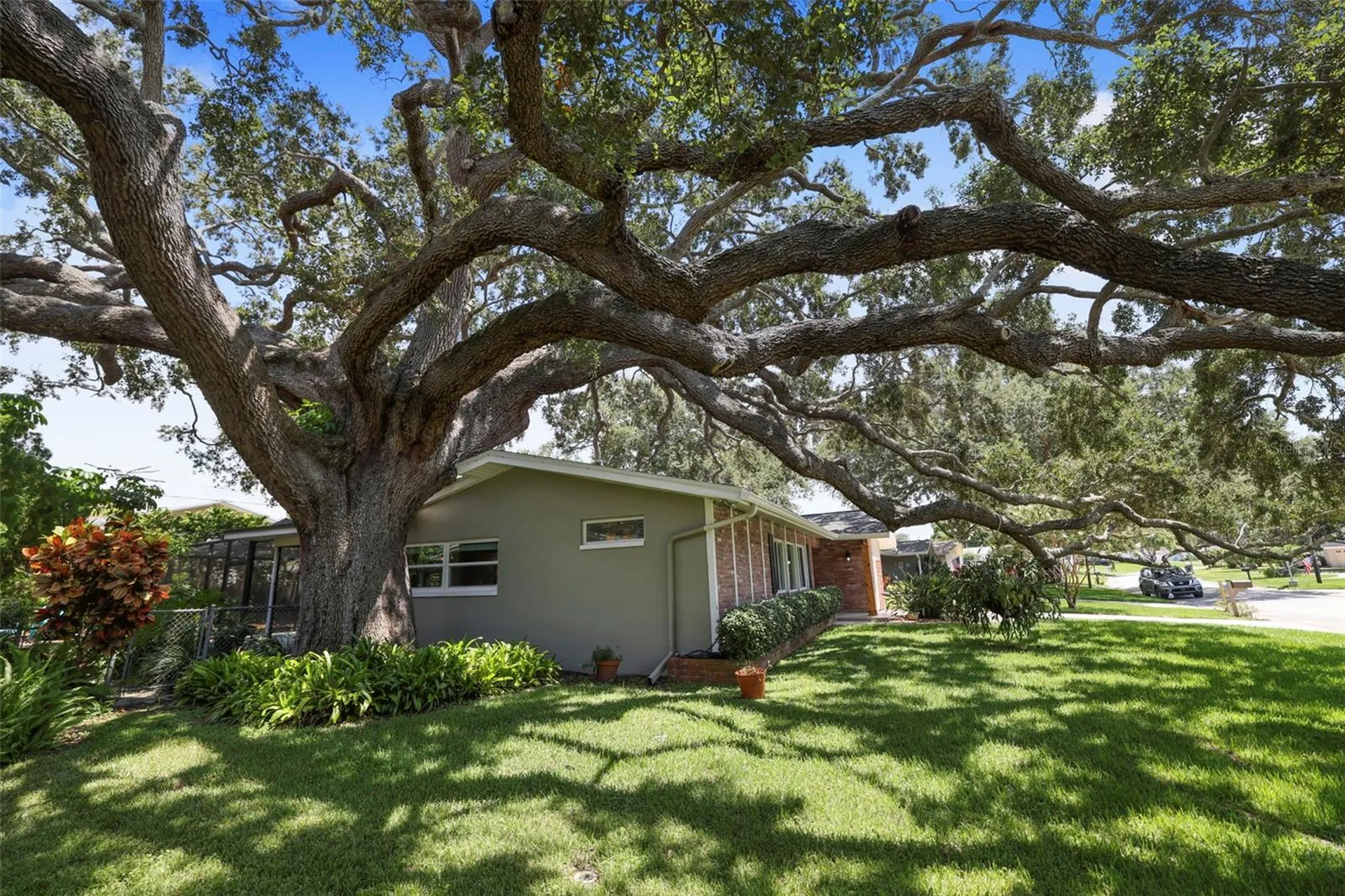 2353 Demaret Drive Dunedin FL 34698