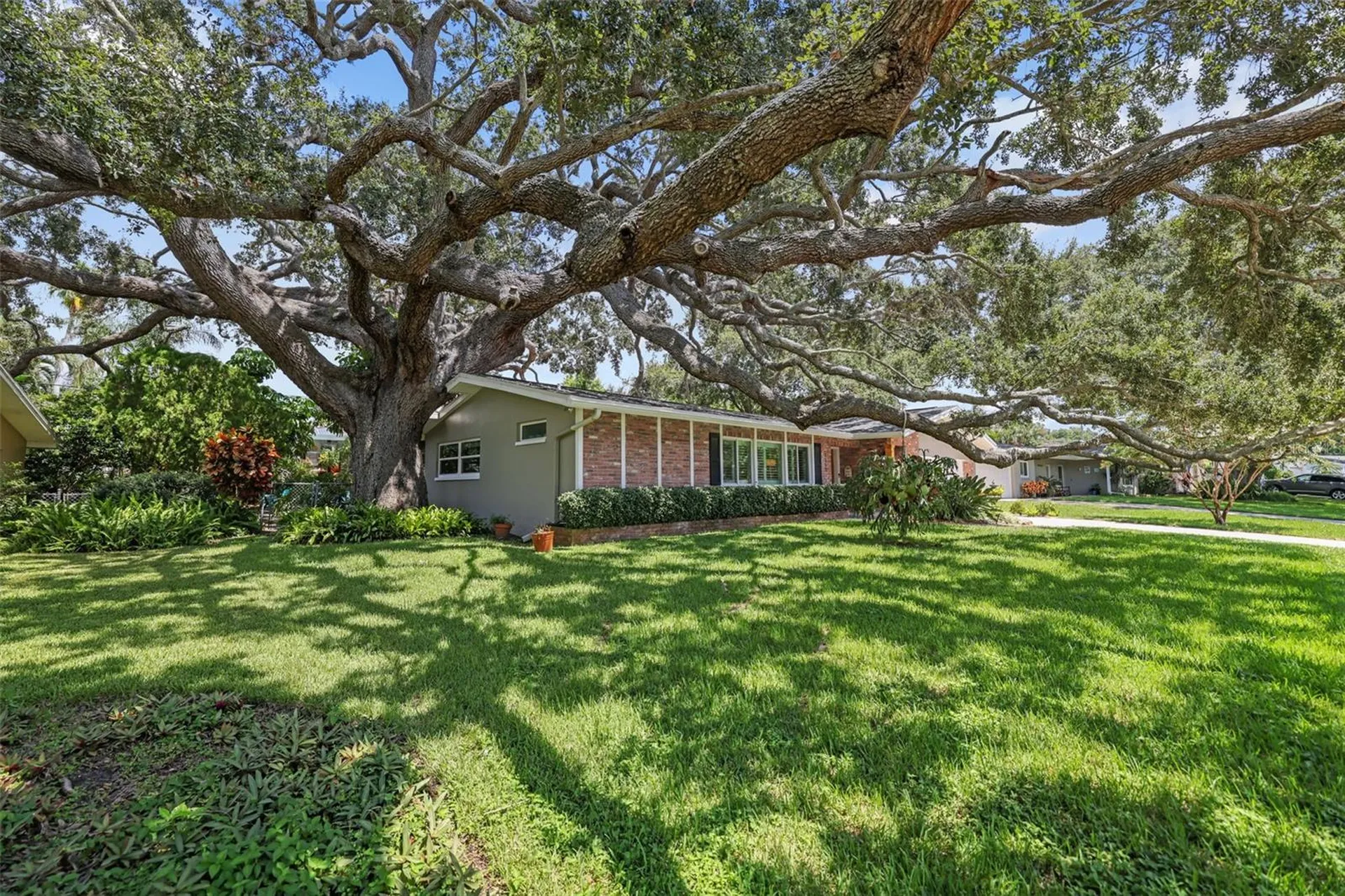 2353 Demaret Drive Dunedin FL 34698