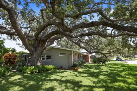 2353 Demaret Drive Dunedin FL 34698
