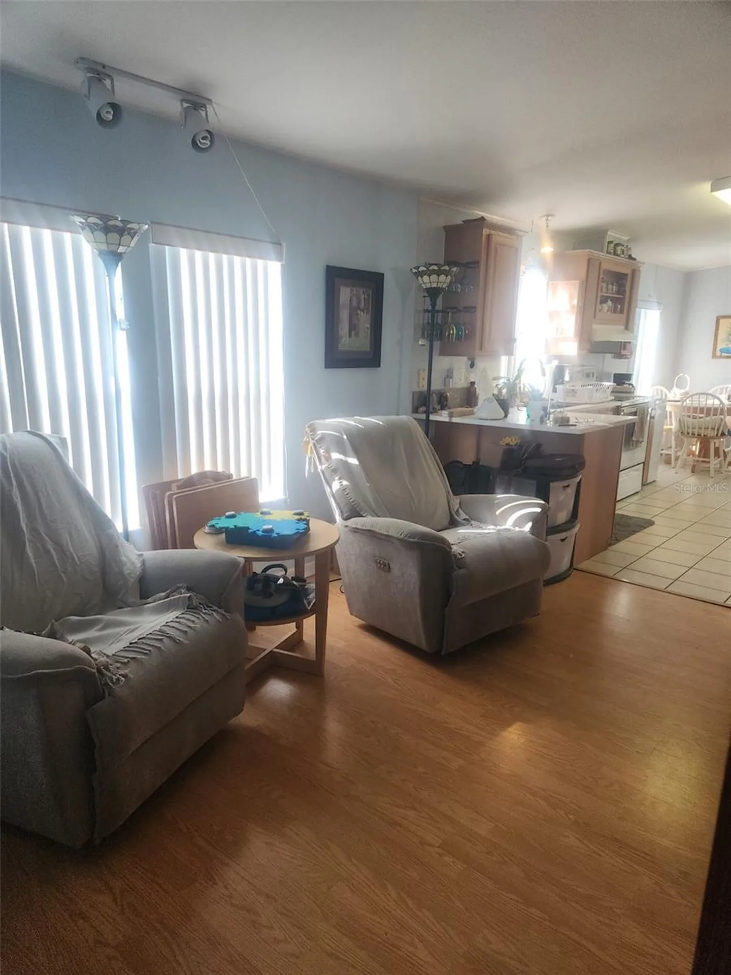 1735 Dorothy Boulevard Lutz FL 33558