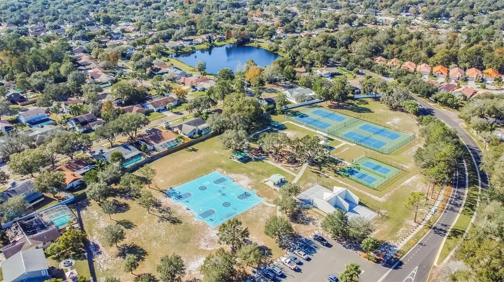 4009 Orangefield Place Valrico FL 33596