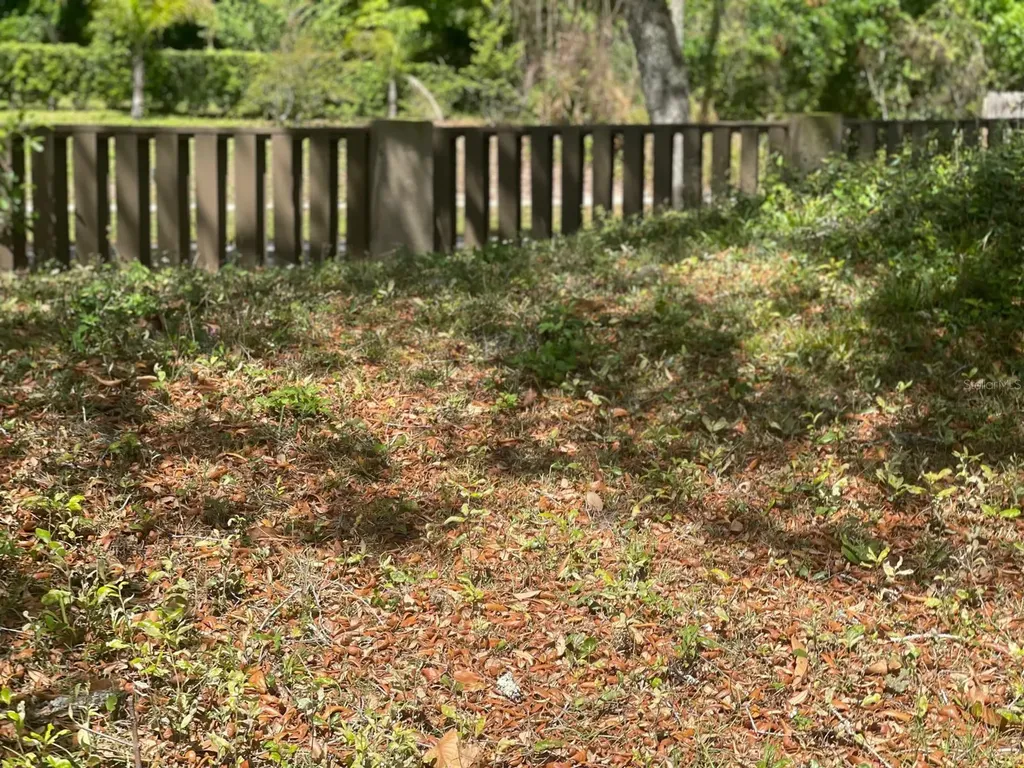 1202 Yvonne Street Apopka FL 32712
