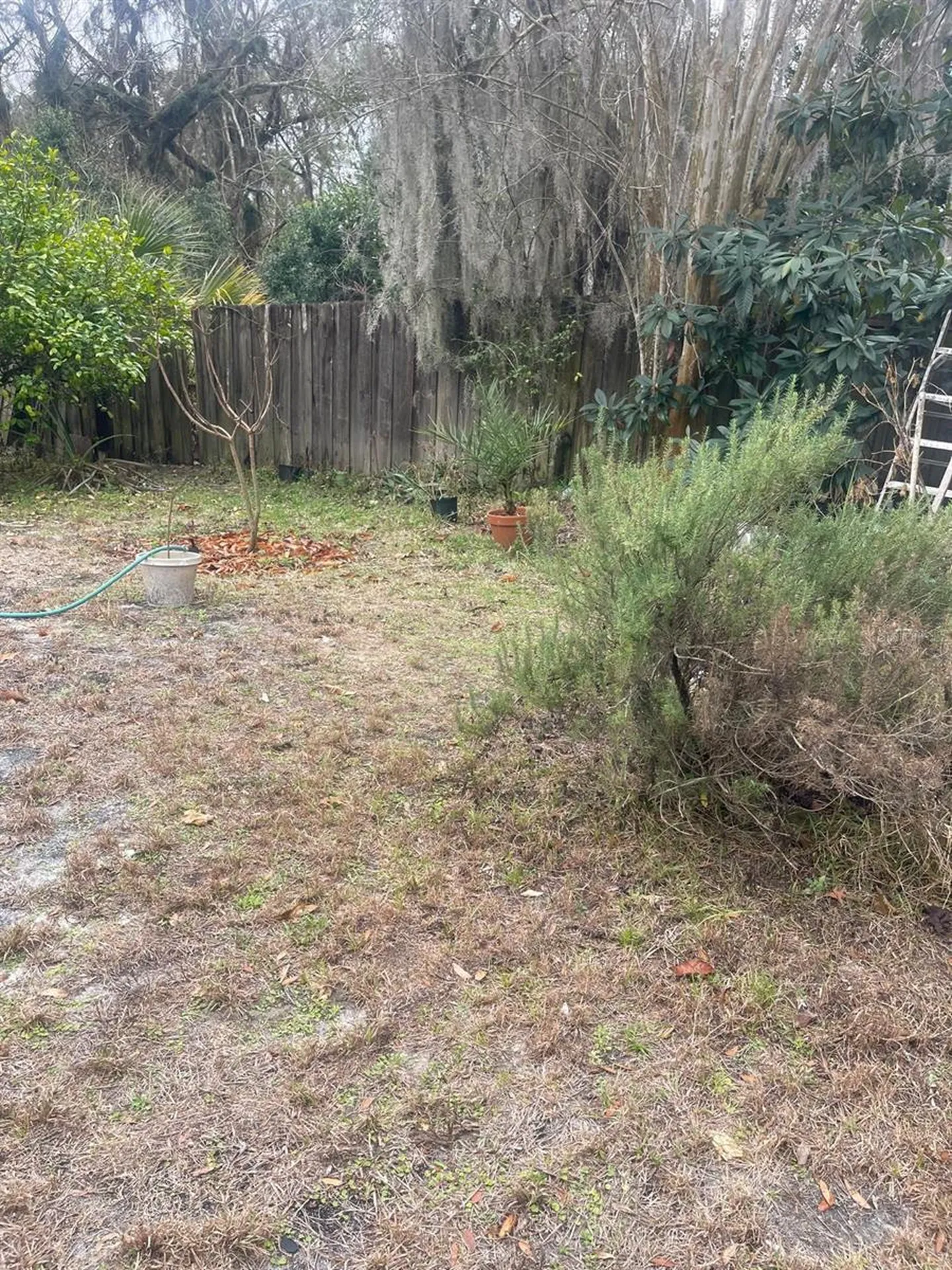 1202 Yvonne Street Apopka FL 32712