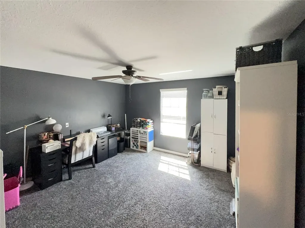 Riverview FL 33578