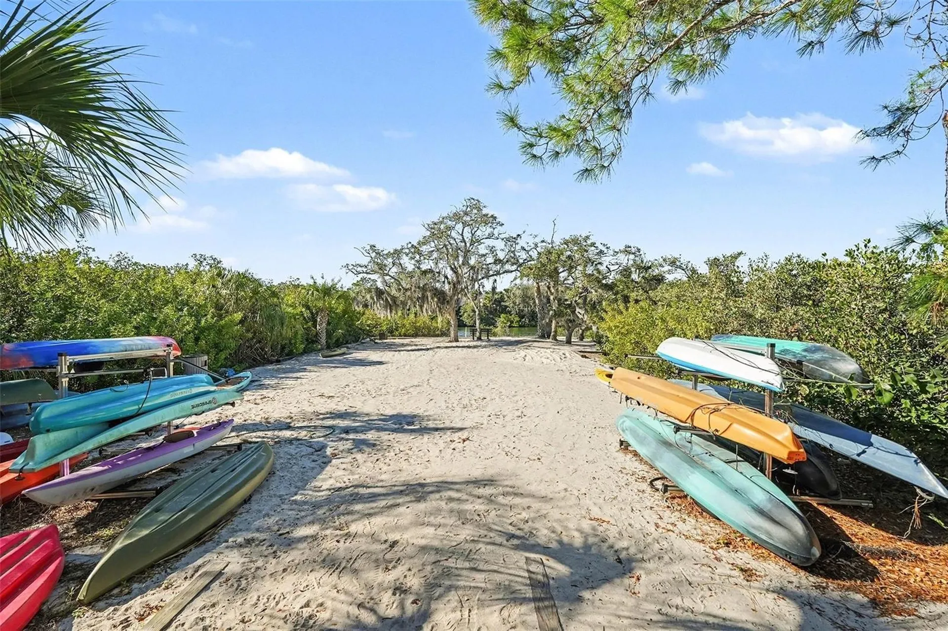 10618 Hatteras Drive Tampa FL 33615