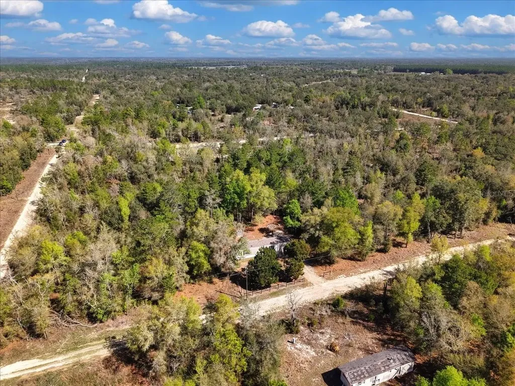 11061 NE 65th Lane Williston FL 32696
