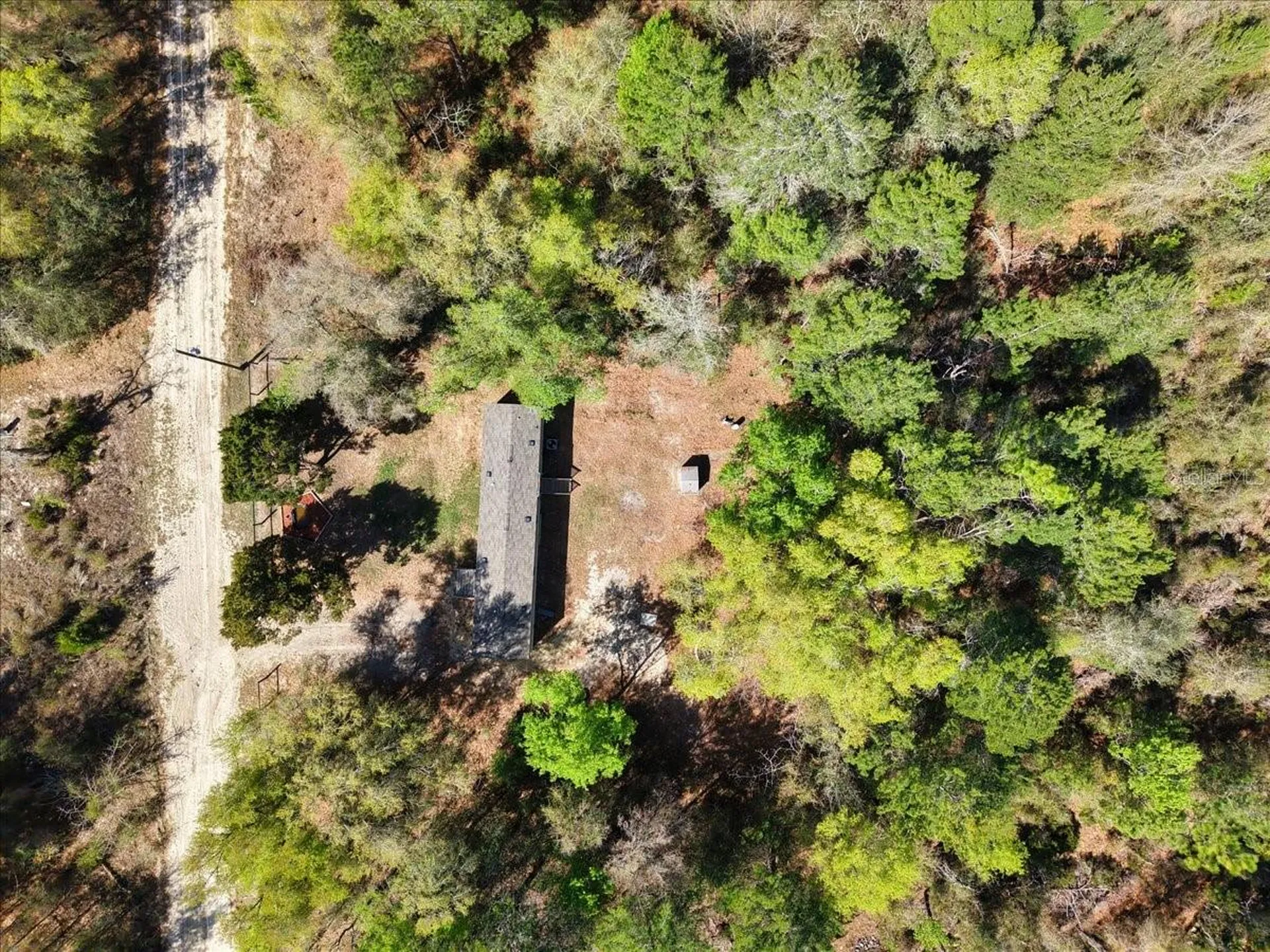 11061 NE 65th Lane Williston FL 32696
