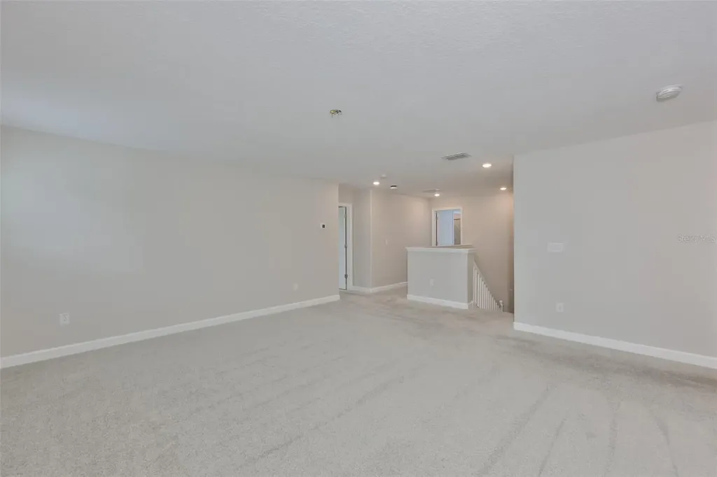 11454 Freshwater Ridge Drive Riverview FL 33569