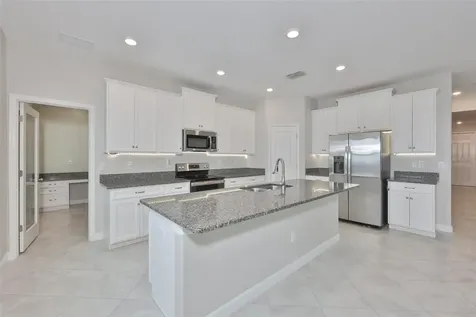 11454 Freshwater Ridge Drive Riverview FL 33569