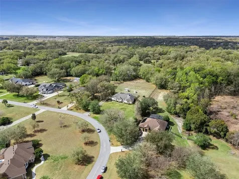 22841 Stallion Drive Sorrento FL 32776