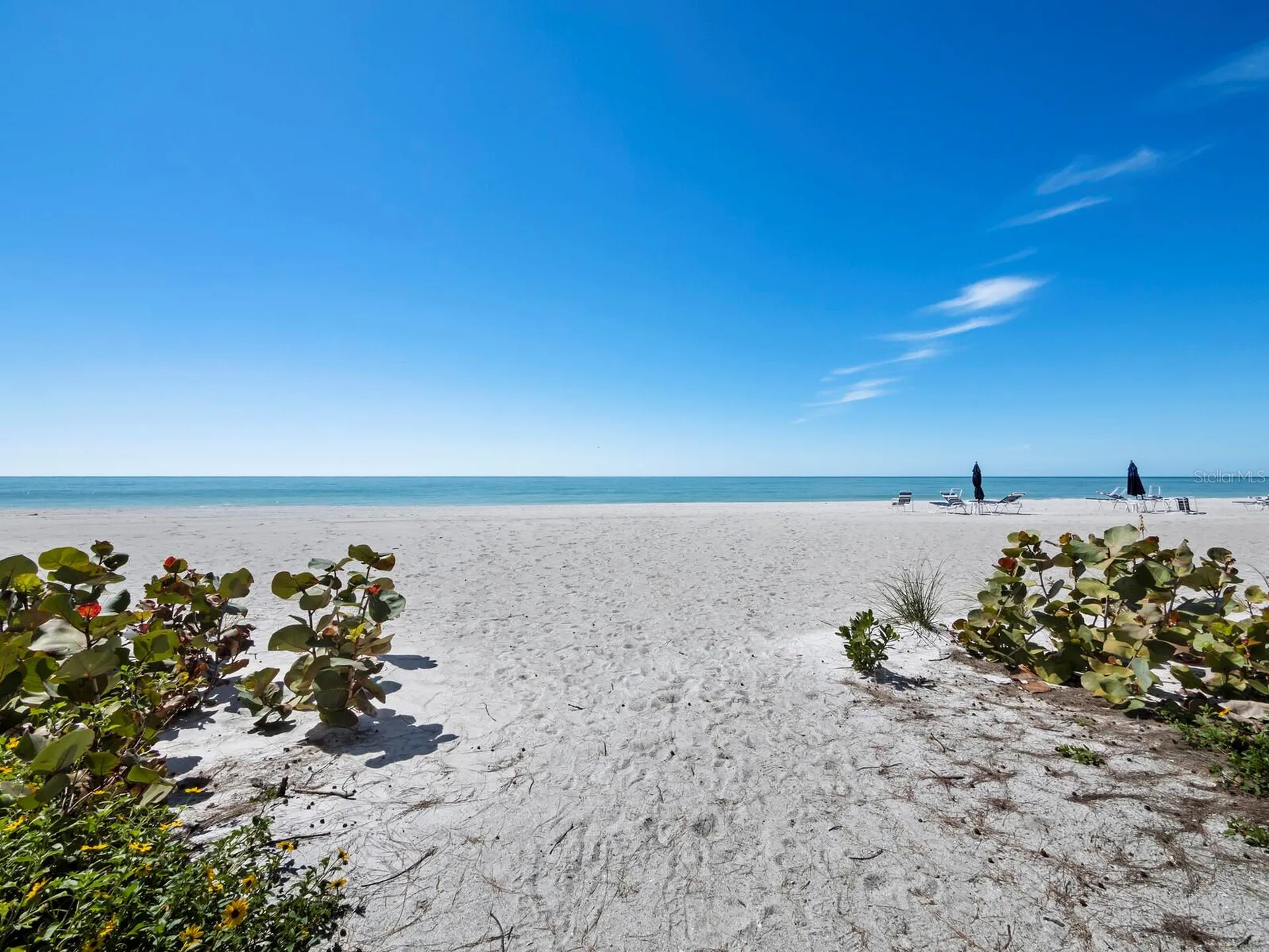 5055 Gulf Of Mexico Drive Longboat Key FL 34228