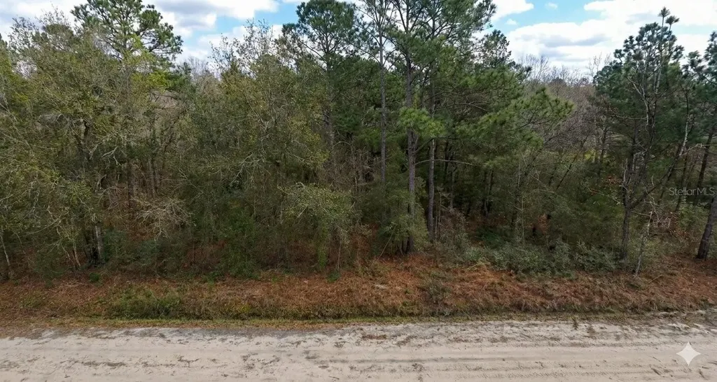 10230 Zigler Avenue Hastings FL 32145