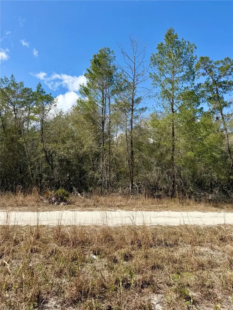 Tbd NE 110th Court Fort Mc Coy FL 32134