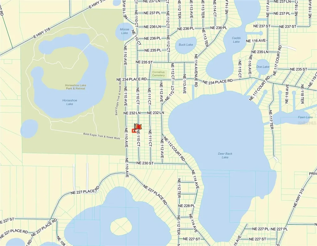 Tbd NE 110th Court Fort Mc Coy FL 32134