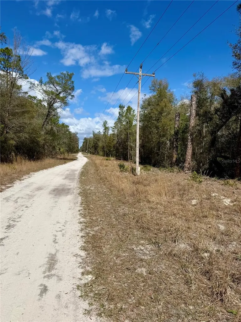 Tbd NE 110th Court Fort Mc Coy FL 32134