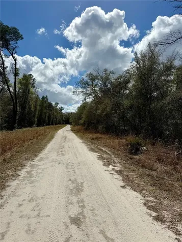 Tbd NE 110th Court Fort Mc Coy FL 32134