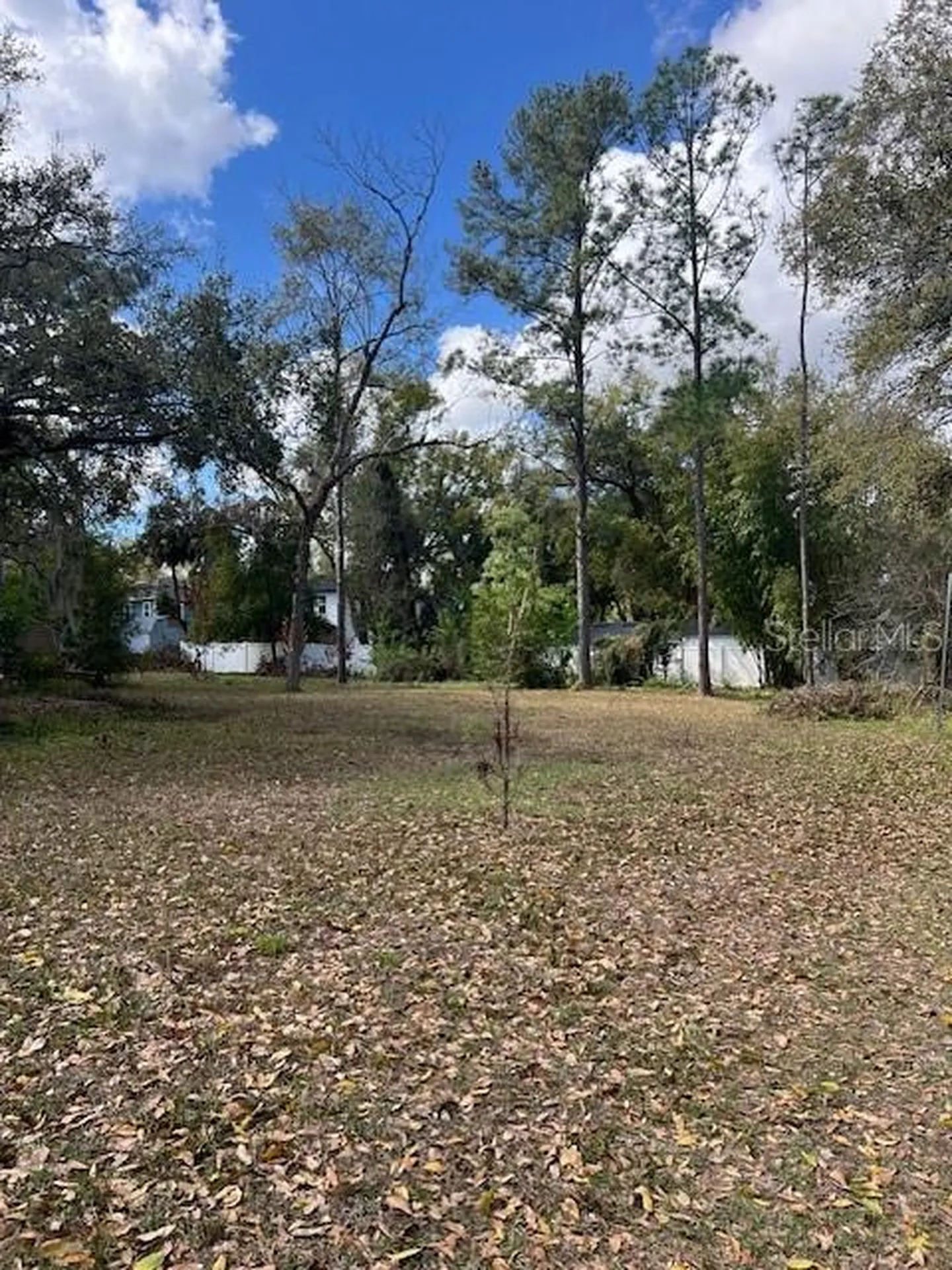 7208 N 12th Street Tampa FL 33604