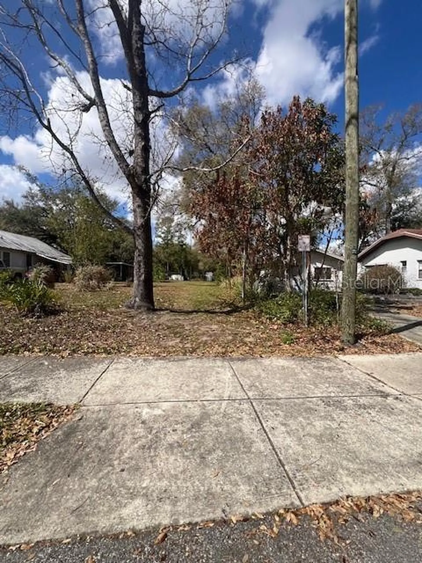 7208 N 12th Street Tampa FL 33604