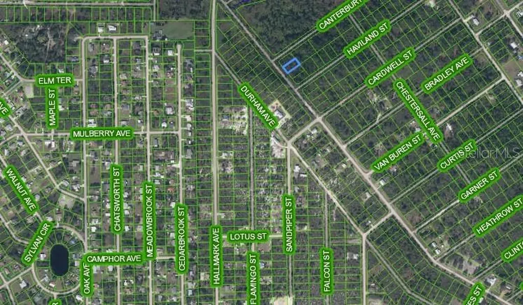 455 Nichele Boulevard Lake Placid FL 33852
