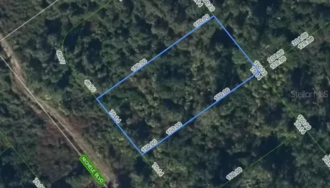 455 Nichele Boulevard Lake Placid FL 33852