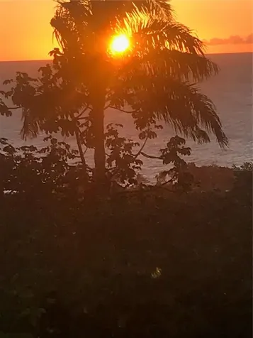 413 Int Camino Martillo Bo Puntas Rincon PR 00677