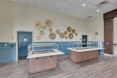 1195 Godavari Way Wesley Chapel FL 33543