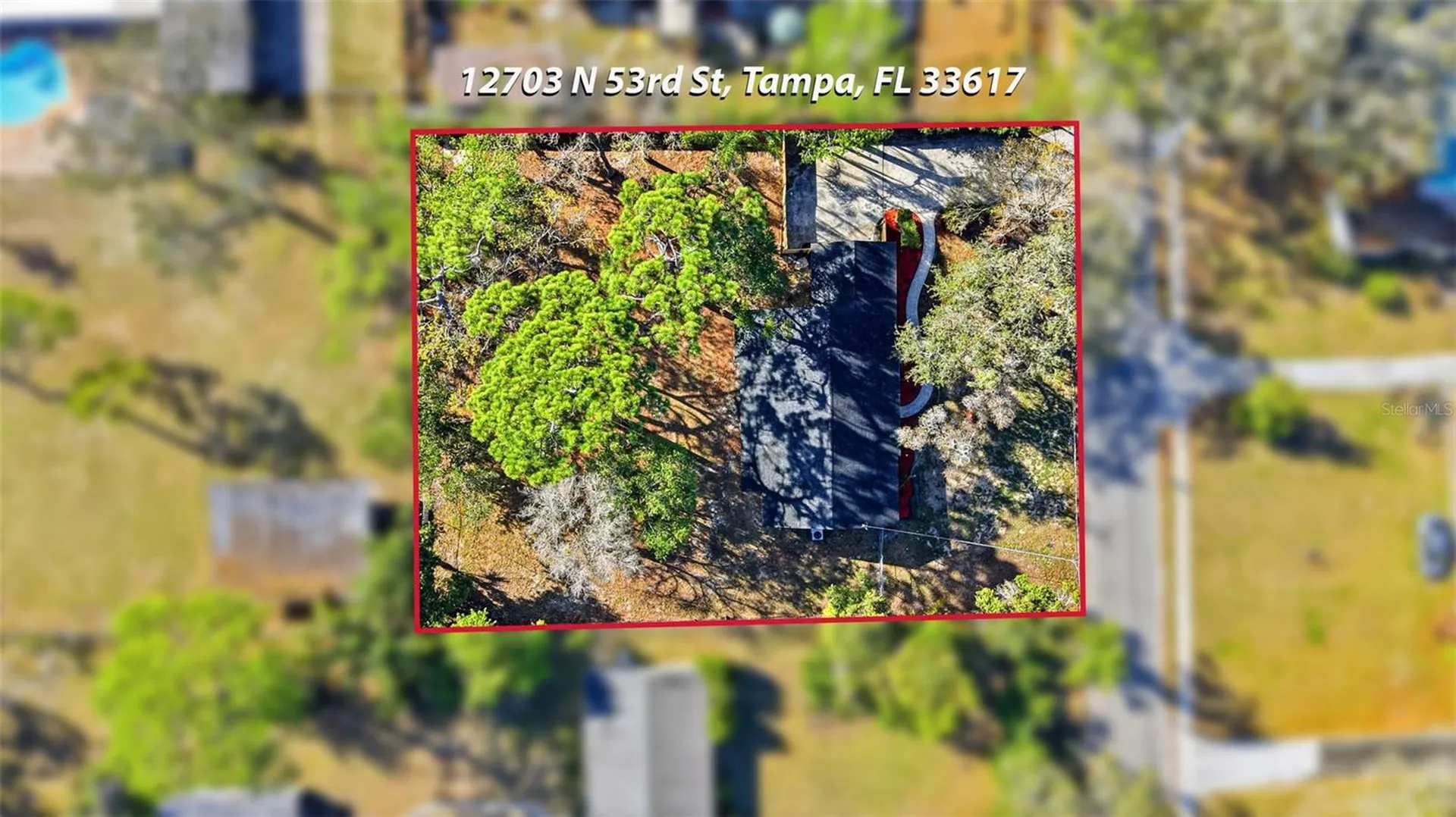 12703 N 53rd Street Temple Terrace FL 33617