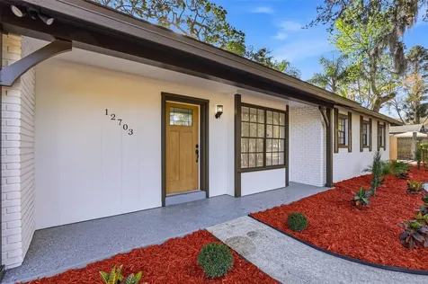 12703 N 53rd Street Temple Terrace FL 33617