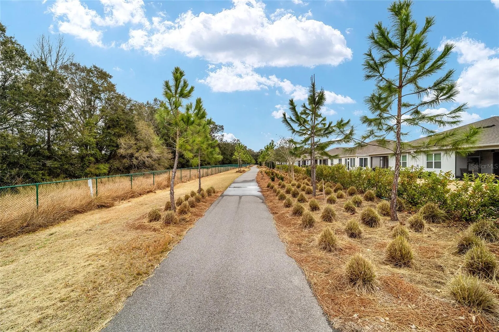 5361 NW 48th Place Ocala FL 34482