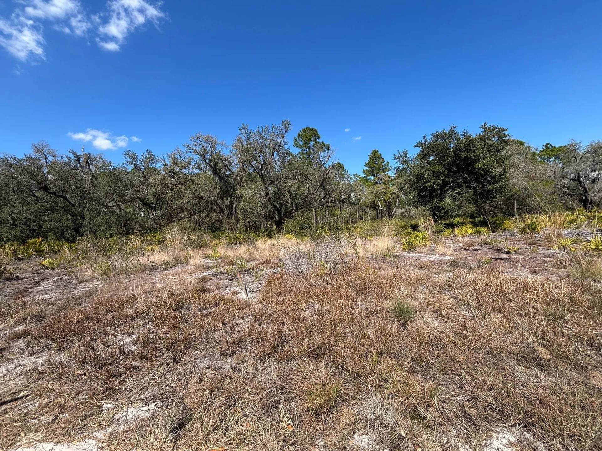 1006 Palm Avenue Indian Lake Estates FL 33855
