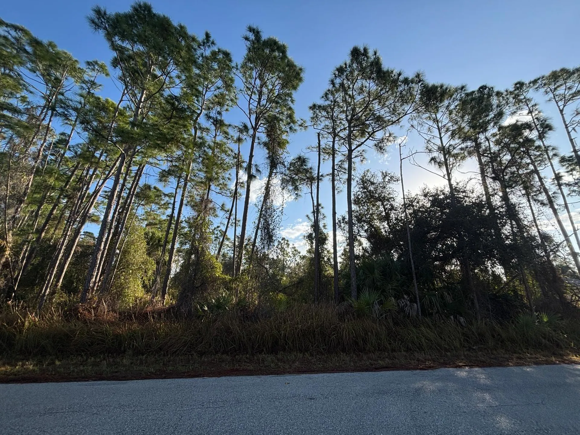 Bismarck Road North Port FL 34288