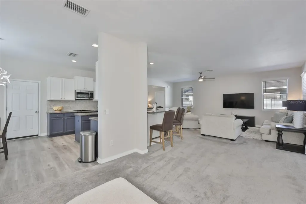 1609 Bonita Bluff Court Ruskin FL 33570