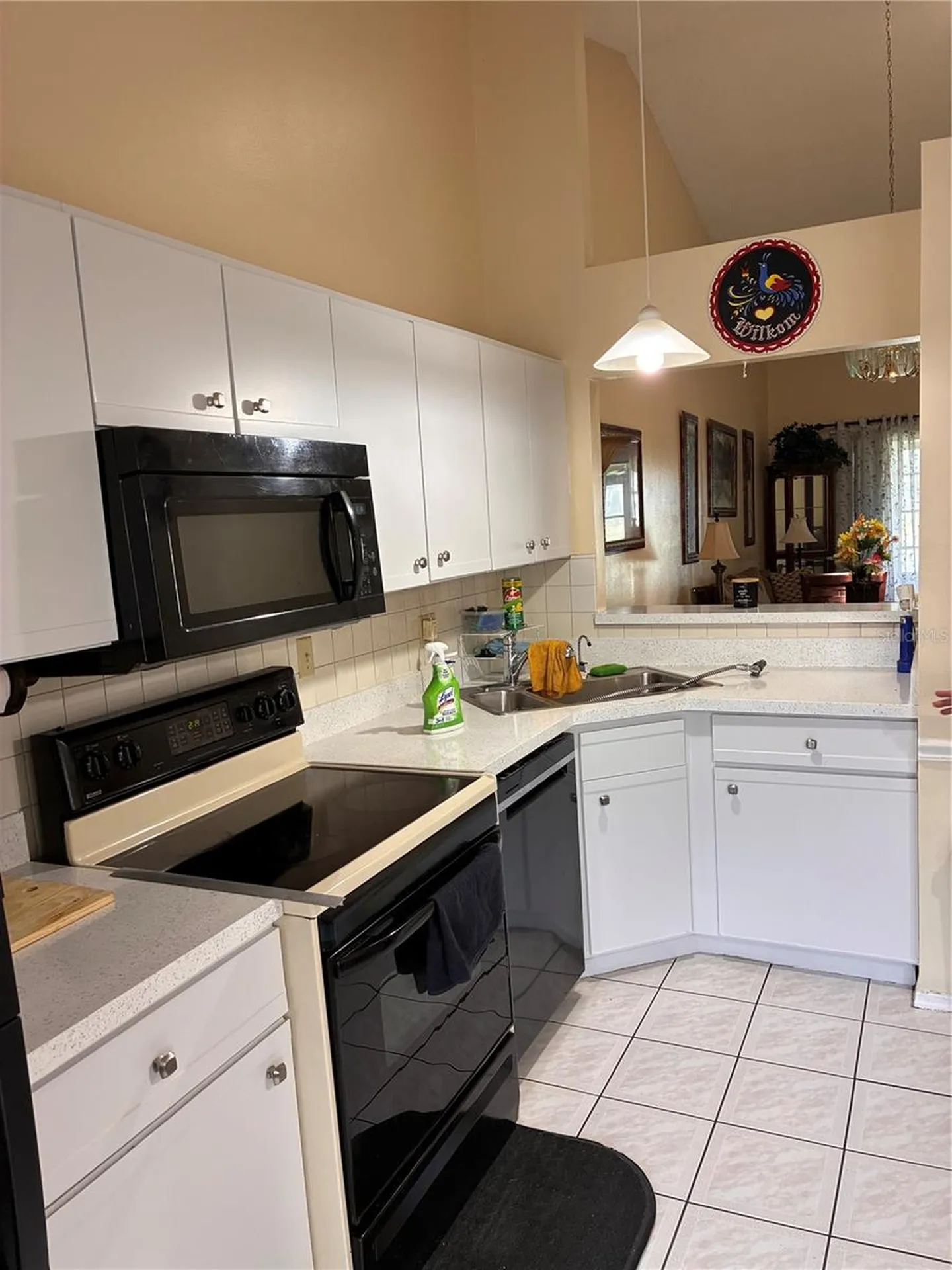 62 Lakepointe Circle Kissimmee FL 34743