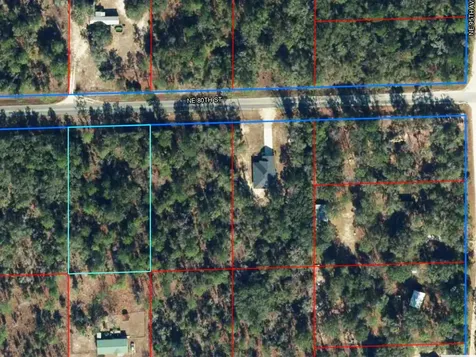 NE 80th Street Bronson FL 32621