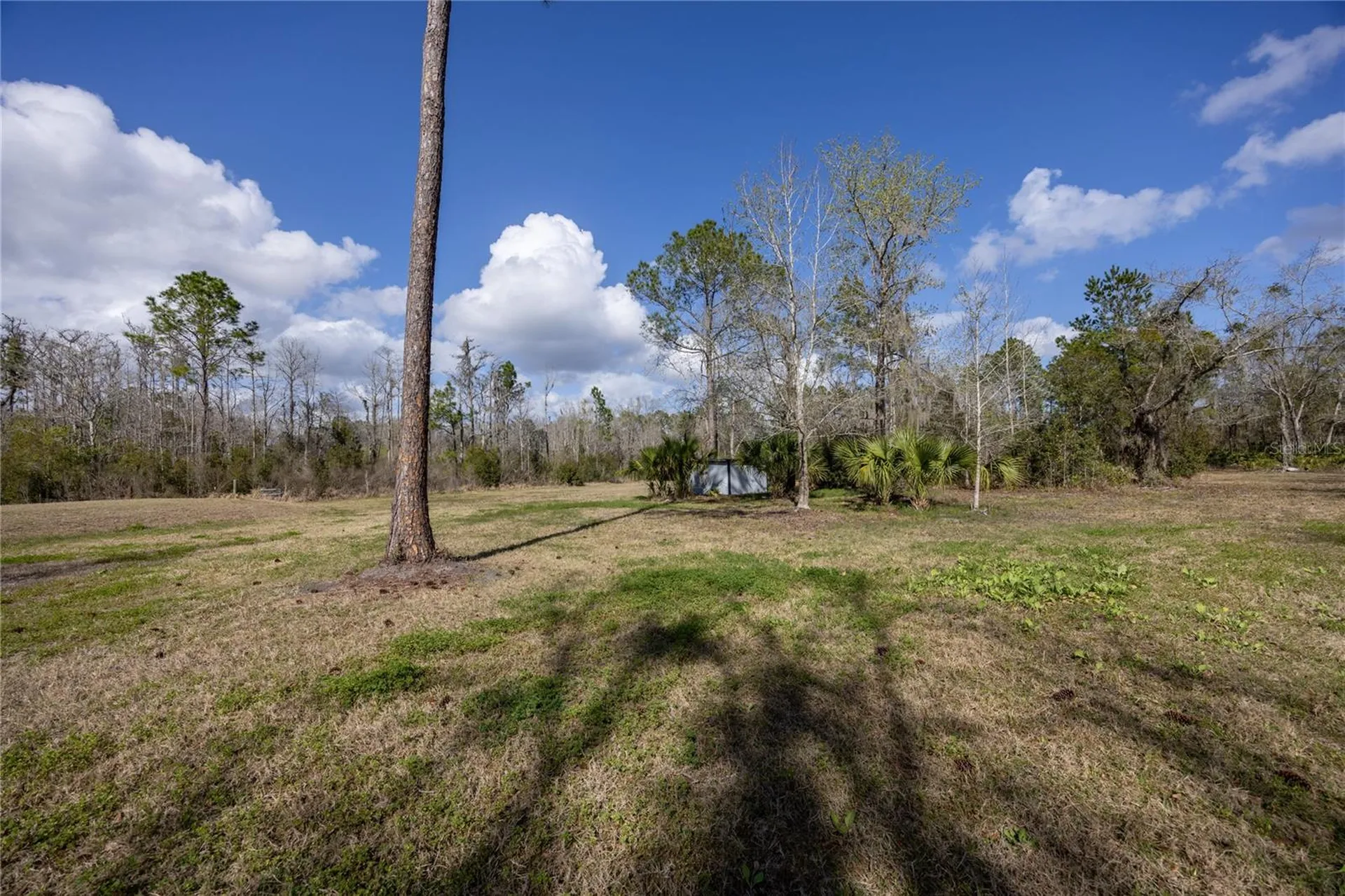 122 Cypress Drive Palatka FL 32177