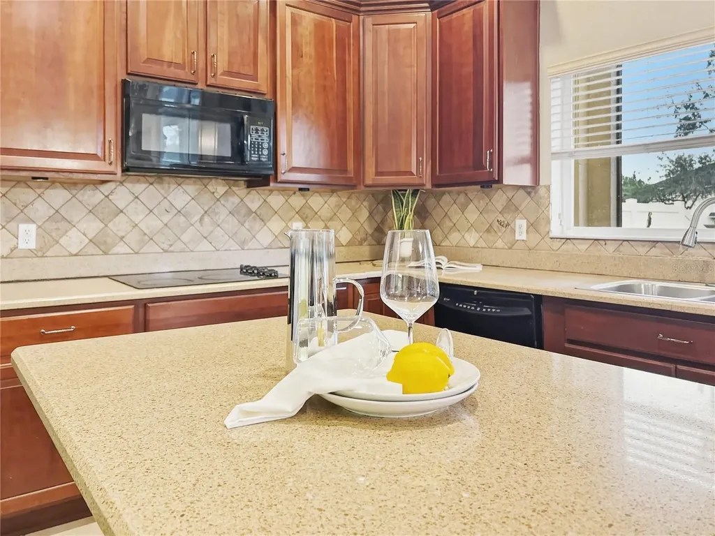 14689 Brunswood Way Orlando FL 32824